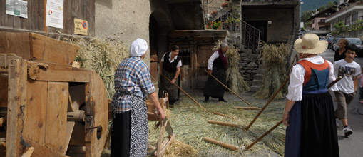 Sagra del Praider - Lavorazione dell'erba