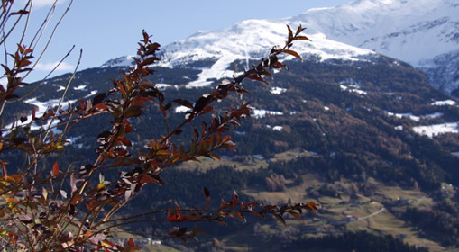 Veduta panoramica dalla passeggiata ciclo-turistica della pedemontana della Reit